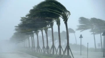 تقلبات جوية مرتقبة.. تفاصيل حالة الطقس المتوقعة غدًا الخميس في كافة المحافظات